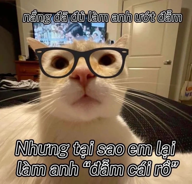 Meme mãi yêu khiến bạn cảm thấy tình yêu ngọt ngào và trọn vẹn.