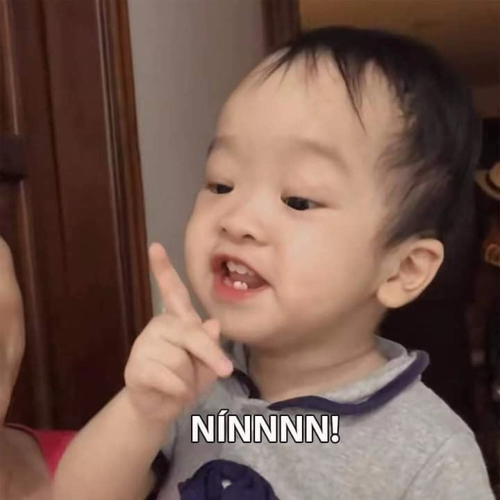 Meme cắt tóc mái, ngộ nghĩnh và hài hước, không thể bỏ qua.