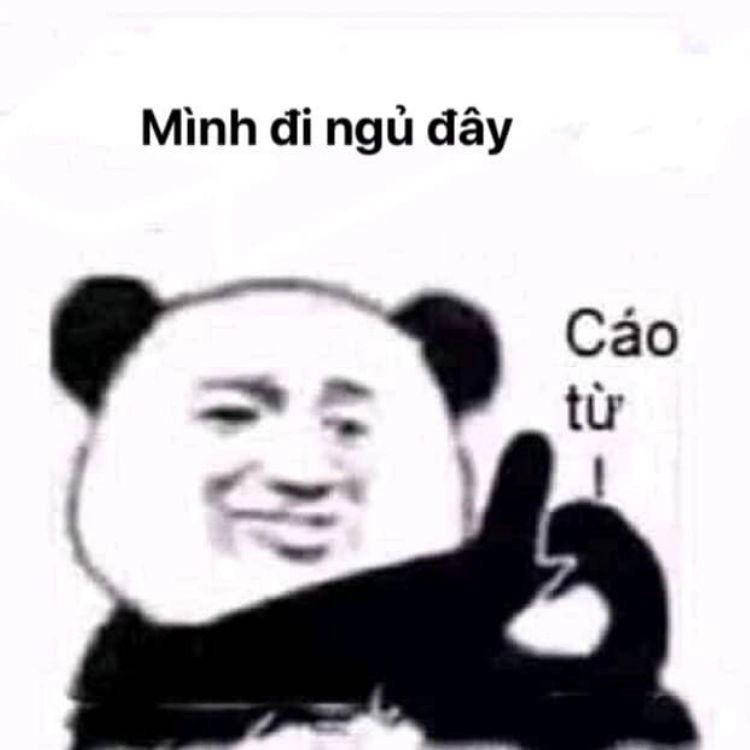 Meme chửi bậy mang đến những lời lẽ hài hước và đầy bất ngờ!