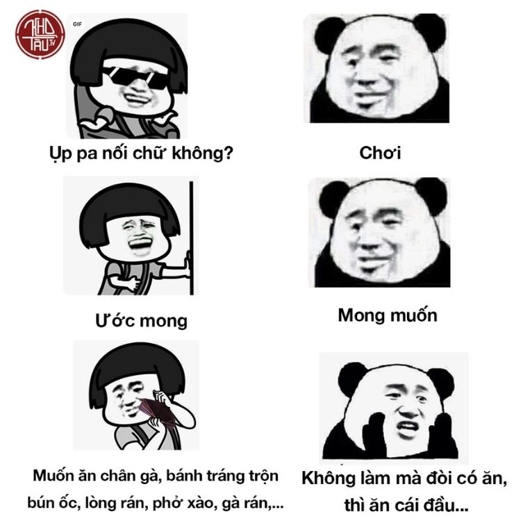 Meme mèo béo trung quốc cực kỳ dễ thương và hài hước!