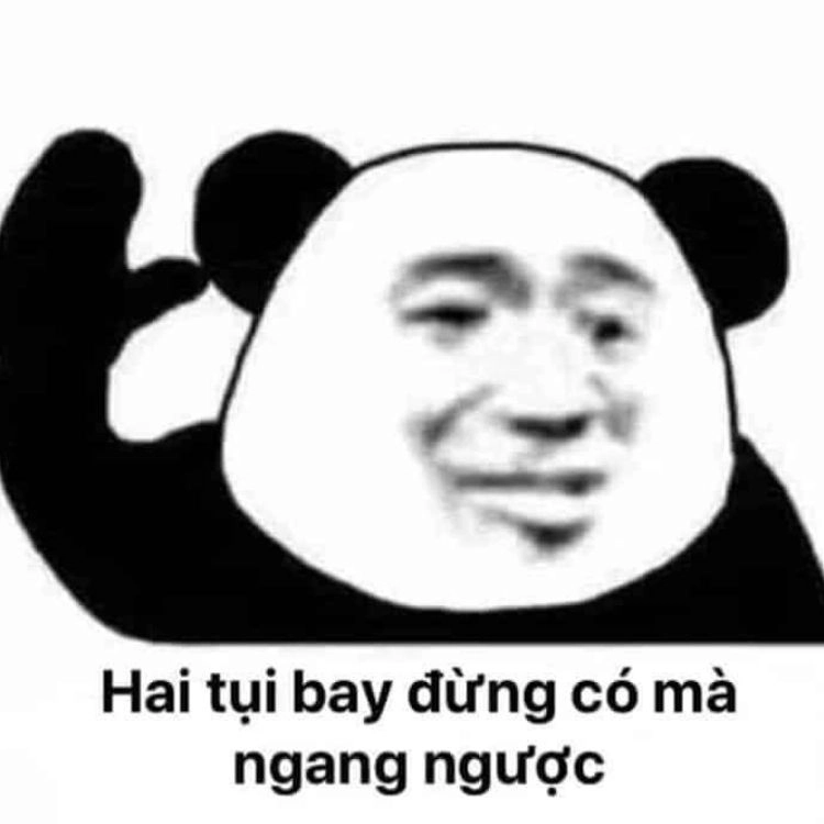 Meme chửi thề gây cười với những câu từ không thể đỡ nổi!