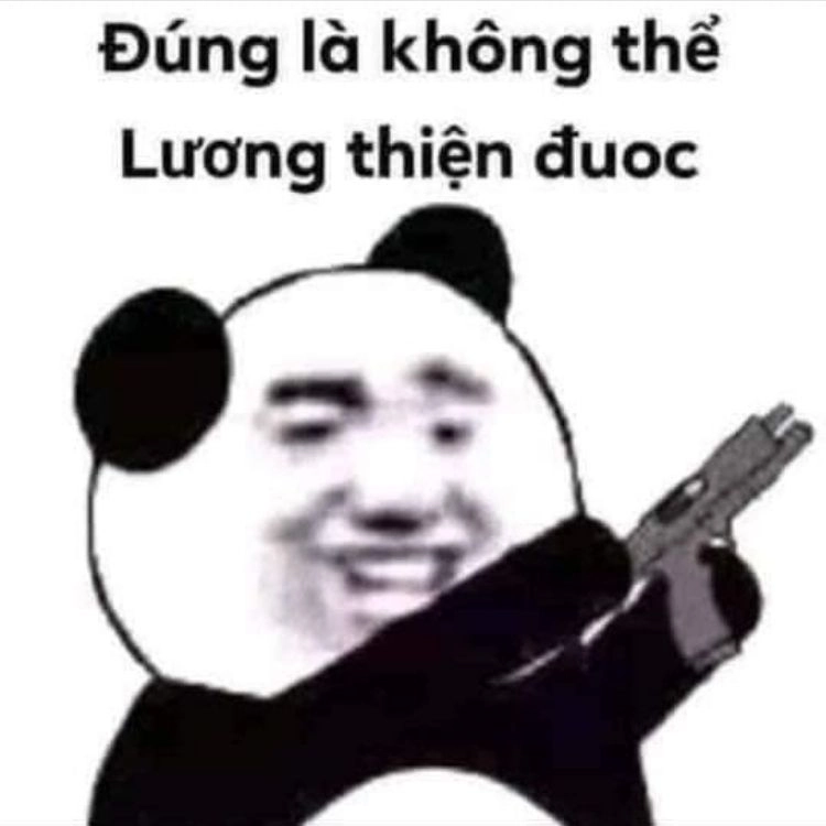 Meme con gấu trung quốc dễ thương và hài hước với những tình huống bất ngờ!