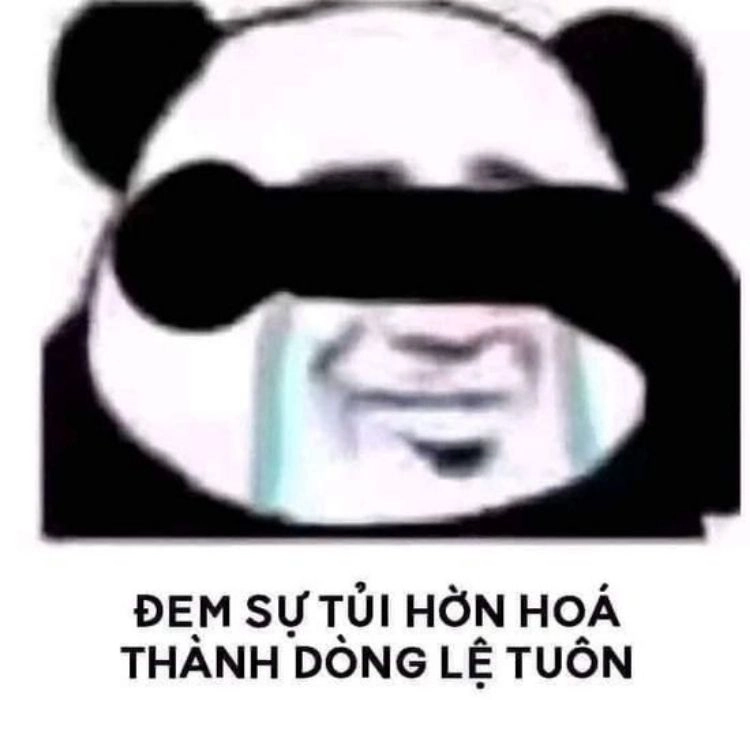 Meme gấu trúc dễ thương và hài hước với những khoảnh khắc đáng yêu!