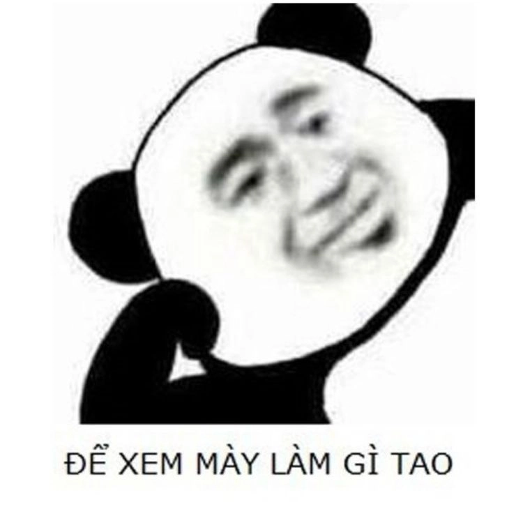 Meme xin lỗi dễ thương với những lời xin lỗi đáng yêu!