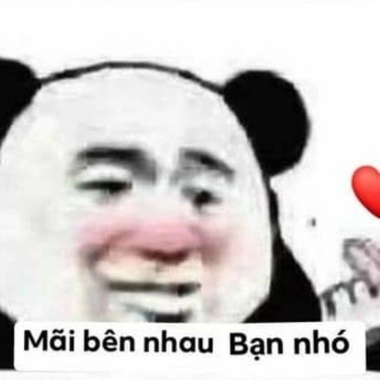 Meme phim cung đấu với những tình huống cực kỳ hài hước và đầy bất ngờ!