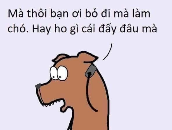 Đấm nhau không meme là một hình ảnh thể hiện sự bất lực cực kỳ hài hước.