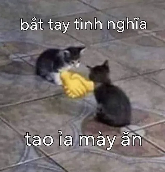 Meme jojo việt nam mang lại những tình huống hài hước với phong cách Jojo đầy ấn tượng.