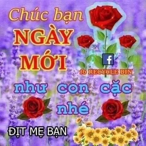 Ảnh meme troll việt nam mang đến những pha chế ảnh hài hước gây cười cho người xem.