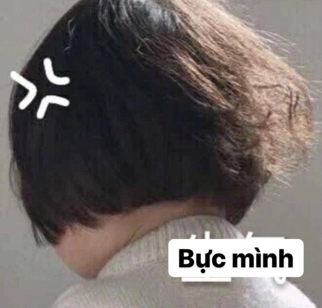 Meme tao tức á mang đến hình ảnh tức giận với các biểu cảm rất dễ thương.