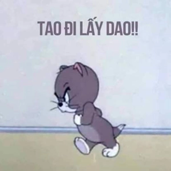 Meme mèo tom tức giận là những hình ảnh mèo Tom giận dữ rất dễ thương.