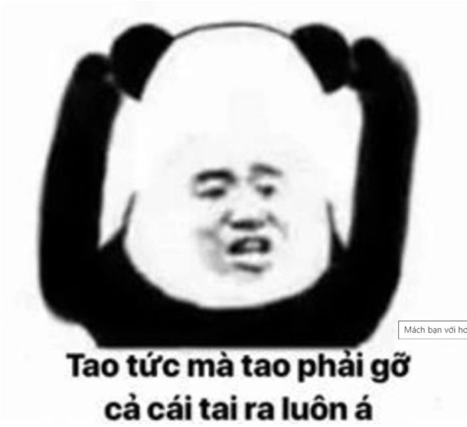 Con mèo tức giận meme là những hình ảnh mèo giận dỗi cực kỳ dễ thương.