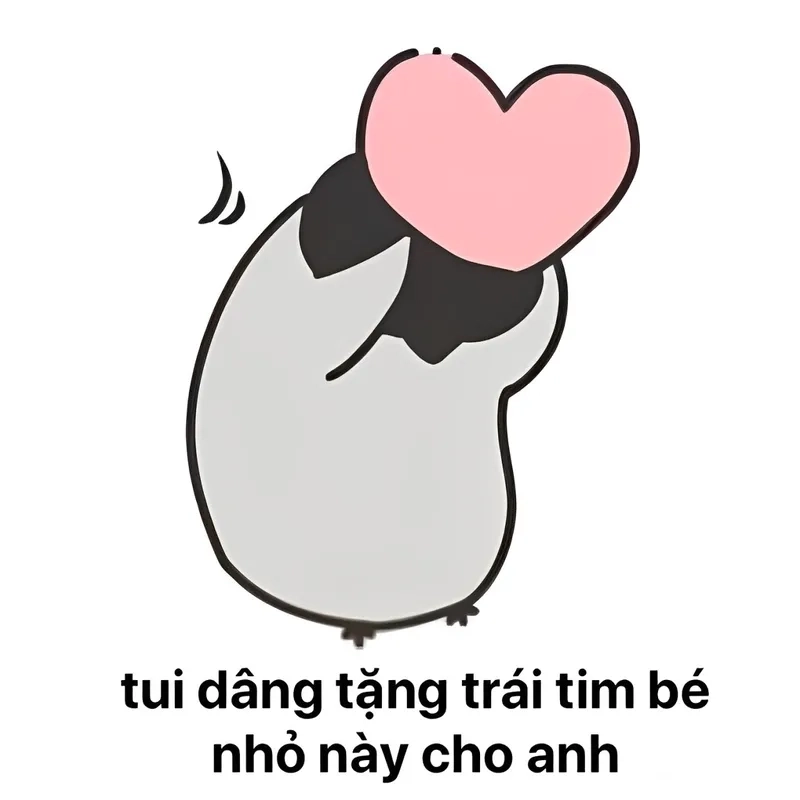 Quà tặng cuộc sống meme là cách thể hiện sự vui vẻ và hạnh phúc trong cuộc sống.