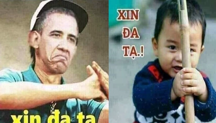 Văn mẫu đơn xin lỗi meme cực kỳ đáng yêu và dễ thương.