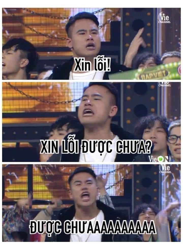 Meme mèo cute xin lỗi cực kỳ dễ thương và khiến bạn phải mỉm cười ngay lập tức.