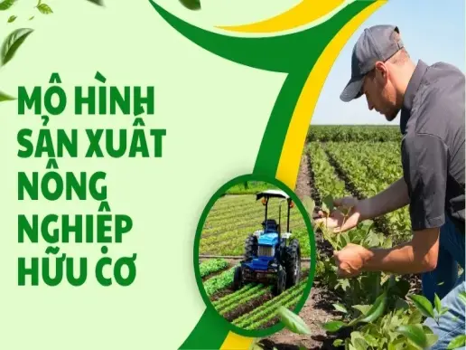 Mô hình sản xuất nông nghiệp hữu cơ hiệu quả và bền vững nhất