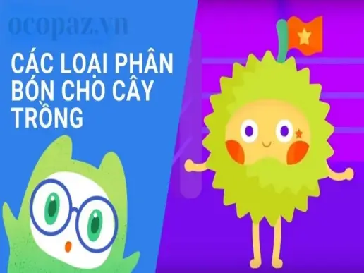 Cách chọn lựa các loại phân bón cho cây trồng để đạt năng suất cao nhất