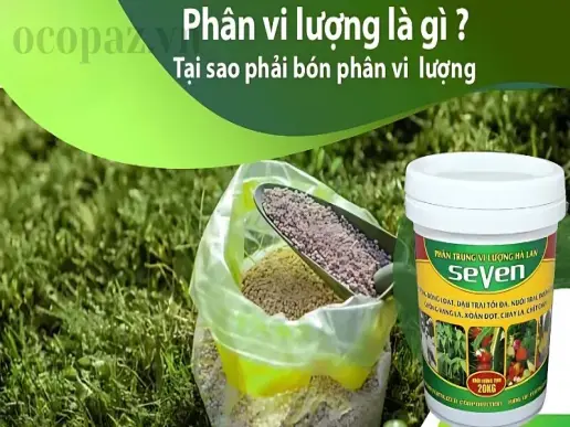 Phân bón vi lượng và vai trò của nó trong việc cải thiện đất trồng