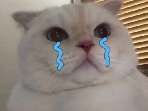 Crying meme biểu tượng hài hước độc đáo trên mạng xã hội