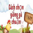 Mẹo nuôi gà thả vườn khỏe mạnh và hạn chế bệnh tật tối ưu