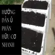 Hướng dẫn ủ phân hữu cơ tại nhà nhanh, sạch và không mùi