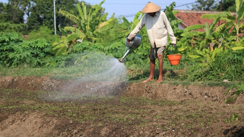 Cây cối xanh mát tạo không gian tươi mới và trong lành