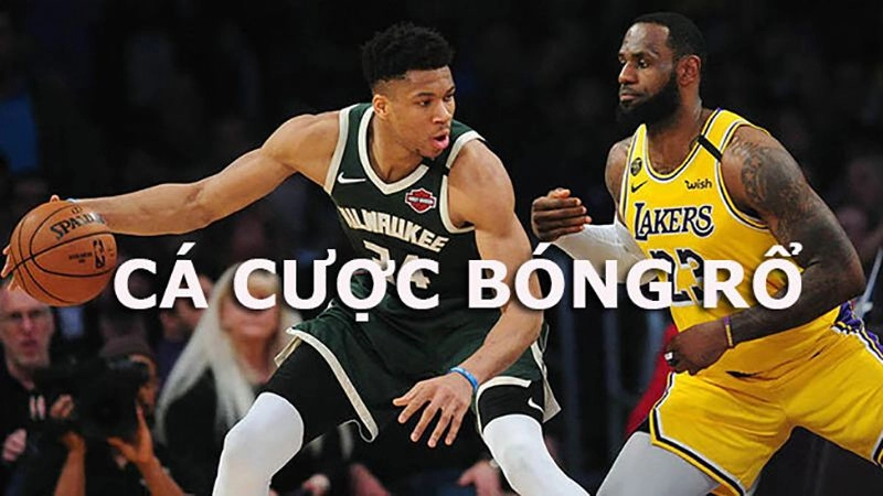 Giới thiệu về cá cược bóng rổ NBA