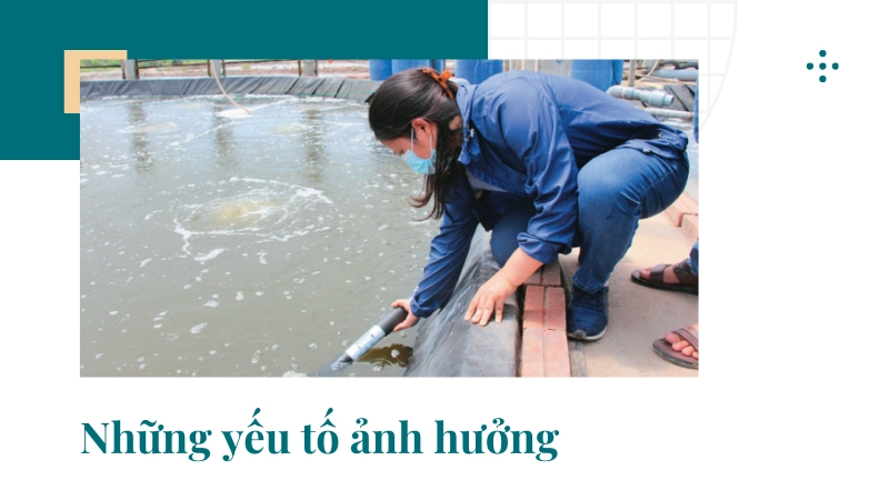 Kiểm tra các chỉ số môi trường nước định kỳ bằng thiết bị đo