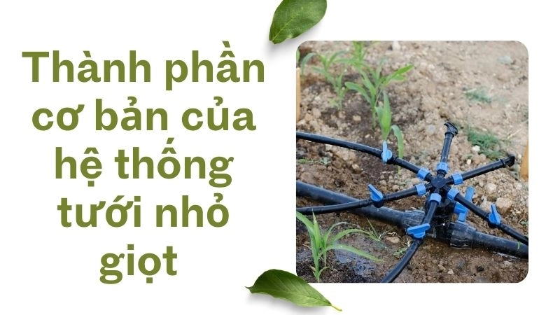 Thành phần cơ bản của hệ thống tưới nhỏ giọt 