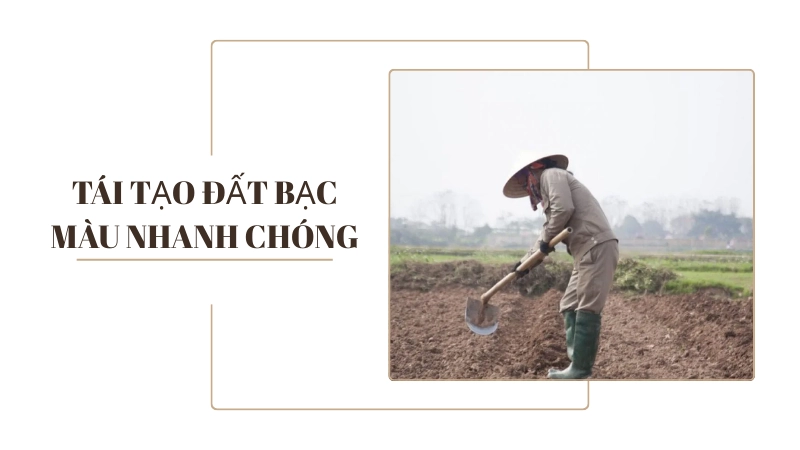 Phương pháp cải tạo đất bạc màu