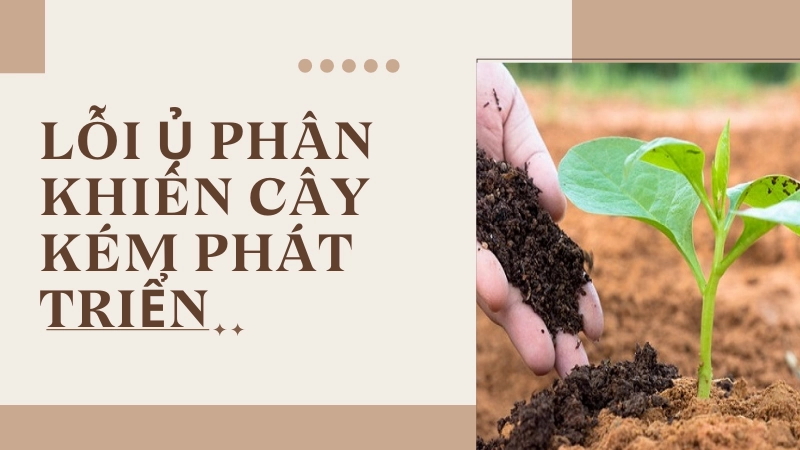 Dấu hiệu nhận biết thùng ủ phân đạt chuẩn