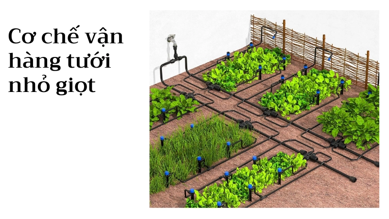 Nguyên lý vận hàng giàn tưới nước nhỏ giọt