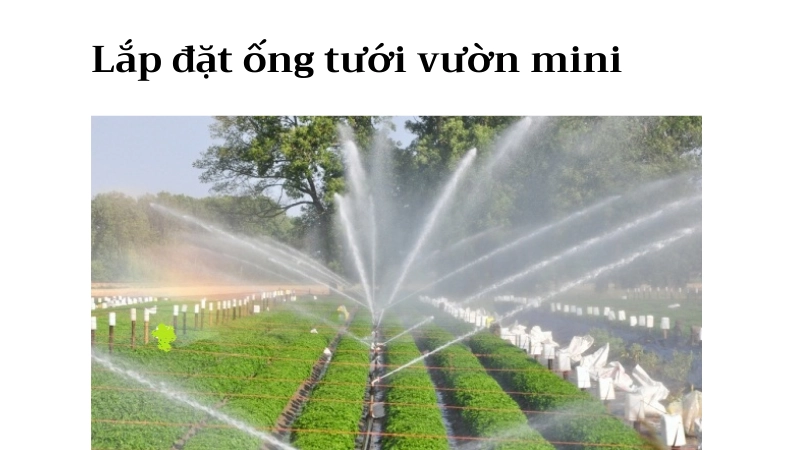Cách lắp đặt ống tưới tự động cho vườn mini