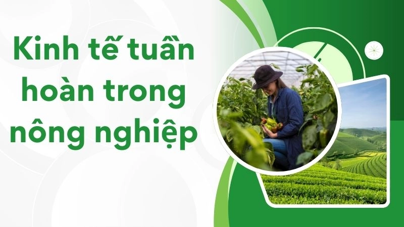 Bản chất cốt lõi của nông nghiệp tuần hoàn