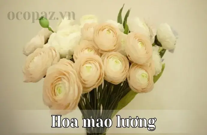 Vẻ đẹp quyến rũ của hoa mao lương trong nghệ thuật trang trí