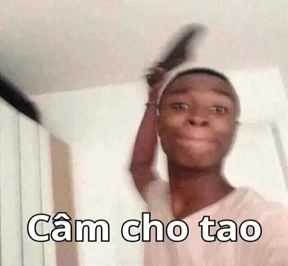 Khám phá meme việt nam những khoảnh khắc hài hước độc đáo