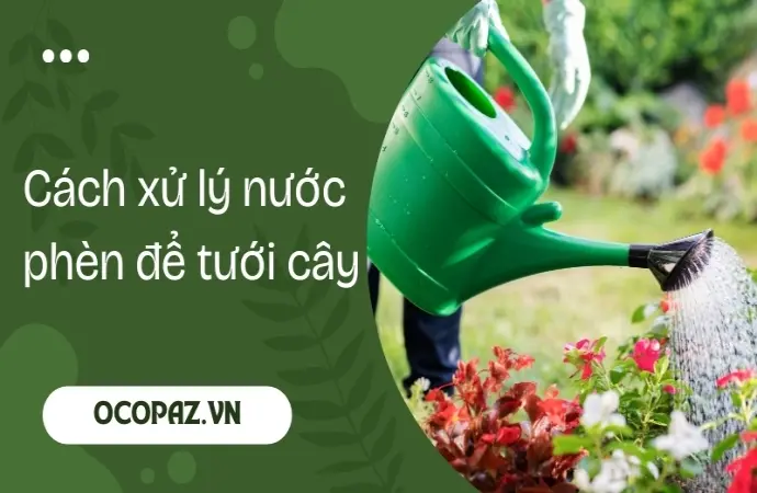 Hướng dẫn cách xử lý nước phèn tưới cây đảm bảo cây xanh tốt