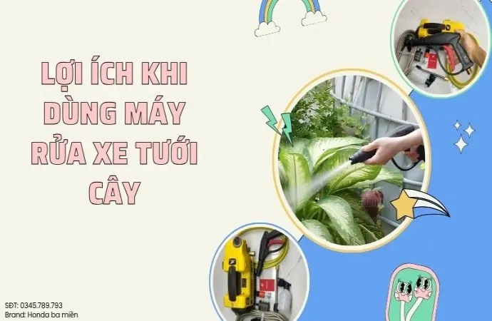 Sử dụng máy rửa xe để tưới cây lợi hay hại cho vườn nhà?