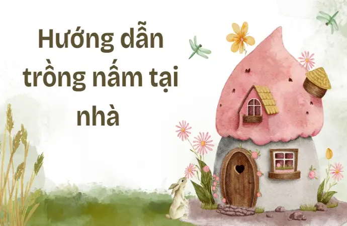 Cách trồng nấm tại nhà đơn giản, thu hoạch nhiều dễ dàng