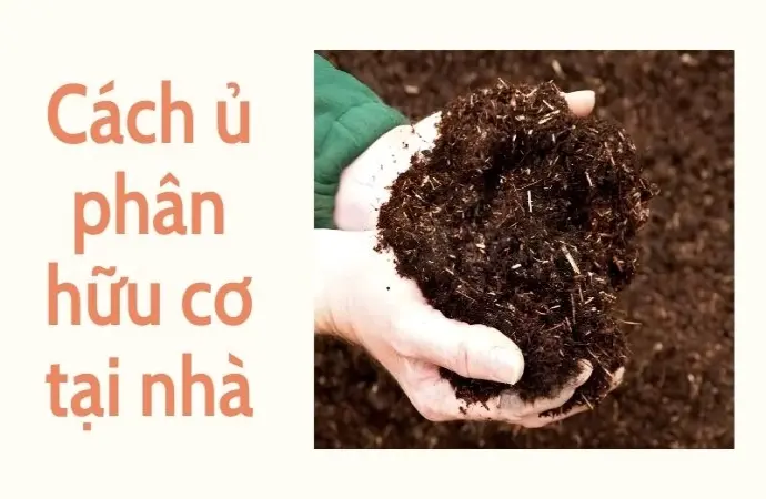 Cách ủ phân hữu cơ tại nhà giúp đất tơi xốp nhanh hơn