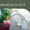 Cách làm hệ thống tưới nhỏ giọt tự chế tiết kiệm 90% nước tưới