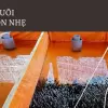 Mẹo bể bạt nuôi lươn hiện đại- Cách tôi hốt bạc mỗi vụ nhanh