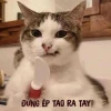 Bộ Sưu Tập Meme Tức Giận Cute, Hài Hước và "Giận Tím Người"