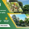 Cây tán rộng: Lựa chọn cho không gian xanh mát và thẩm mỹ