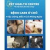Dấu hiệu bệnh Care ở chó: Nhận biết sớm và cách phòng tránh hiệu quả
