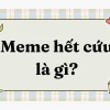 Hàng loạt meme hết cách: Biểu cảm bất lực và hài hước của năm 2026