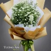 Hoa cúc thạch thảo vẻ đẹp mỏng manh và ý nghĩa sâu sắc