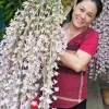 Hướng dẫn cách làm dịch chuối tưới lan tại nhà đơn giản hiệu quả