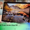 Khám phá bộ sưu tập avatar thiên nhiên đẹp hút hồn