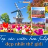 Khám phá vẻ đẹp vườn hoa tulip chill: Nguồn cảm hứng bất tận
