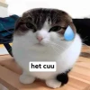 Meme Nhăn Mặt Biểu Tượng Cảm Xúc Bực Bội và Hài Hước